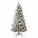 White Spruce