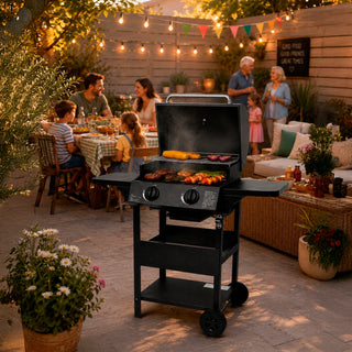 Neo Black Steel 2 Burner Gas BBQ Grill