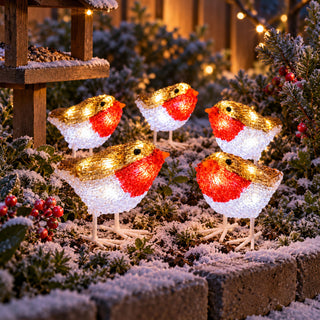 Neo Set of 5 Acrylic Robin Christmas Lights