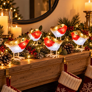Neo Set of 5 Acrylic Robin Christmas Lights