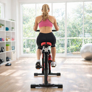 Neo Magnetic Indoor Exercise Bike