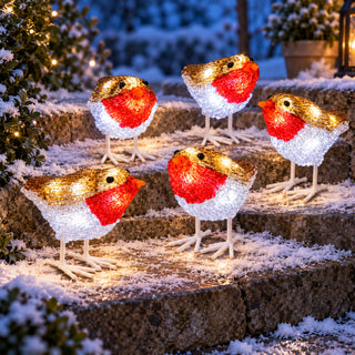 Neo Set of 5 Acrylic Robin Christmas Lights