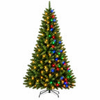Spruce