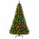 Spruce