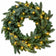 LED Fir