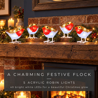 Neo Set of 5 Acrylic Robin Christmas Lights