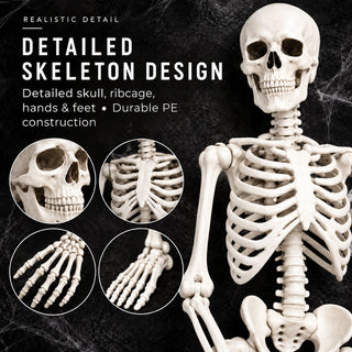 Neo 160cm Prop Life Size Halloween Skeleton
