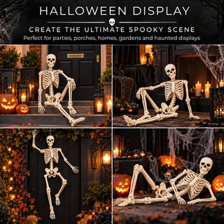 Neo 160cm Prop Life Size Halloween Skeleton