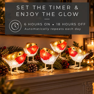 Neo Set of 5 Acrylic Robin Christmas Lights