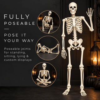 Neo 160cm Prop Life Size Halloween Skeleton