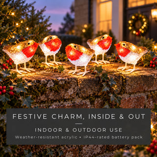 Neo Set of 5 Acrylic Robin Christmas Lights
