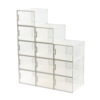 Neo Grey 12 pcs Transparent Large Shoe Storage Boxes